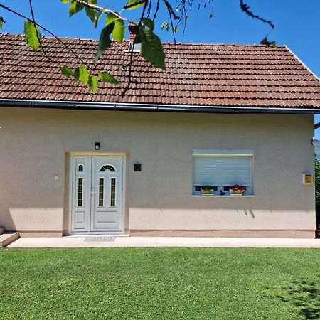 Kuca Za Odmor Dm Villa Bajina Basta Kültér fotó