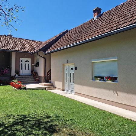 Kuca Za Odmor Dm Villa Bajina Basta Kültér fotó