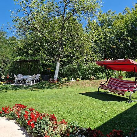 Kuca Za Odmor Dm Villa Bajina Basta Kültér fotó