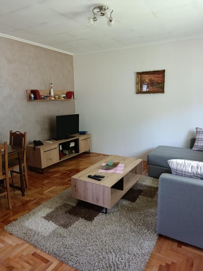 Kuca Za Odmor Dm Villa Bajina Basta Kültér fotó