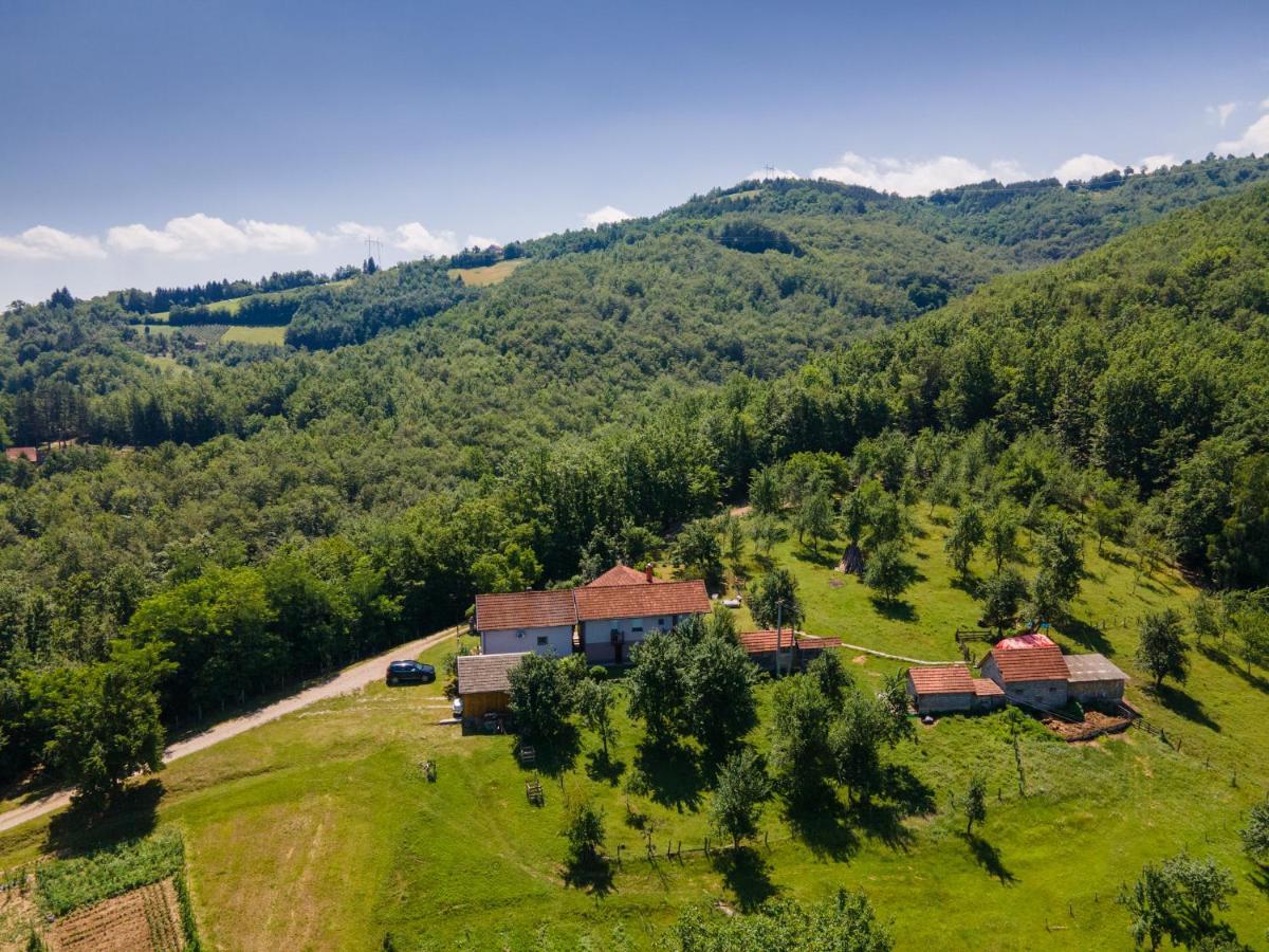 Kuca Za Odmor Dm Villa Bajina Basta Kültér fotó